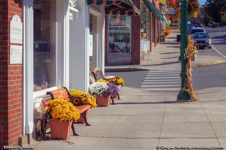 Flowers and benck on Main Street sidewalk in Ellsworth