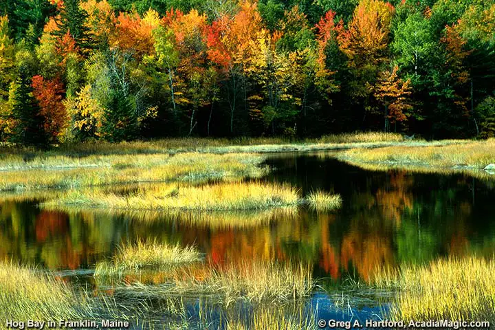 Hog Bay in Franklin, Maine