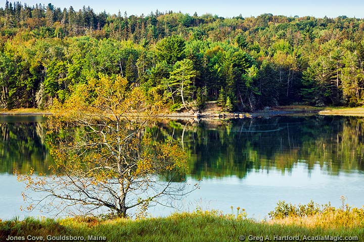 Jones Cove in West Gouldsboro, Maine