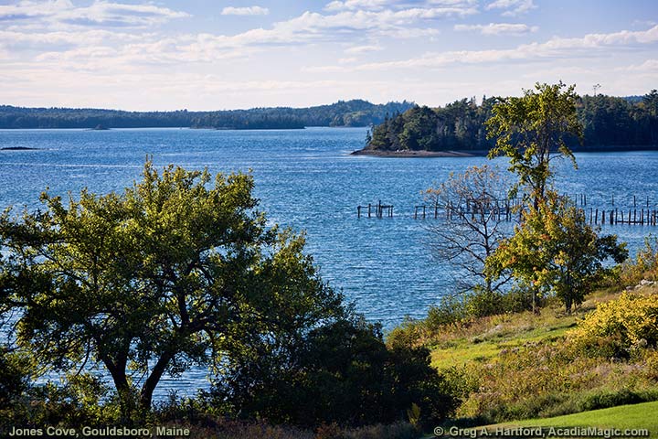 Jones Cove, Mt. Desert Narrows and Hog Island