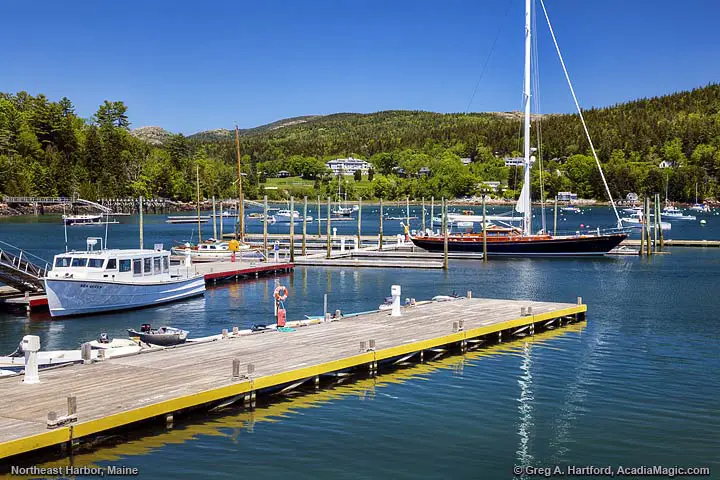 Yachts in Northeast Harbor