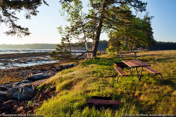 Thompson Island Picnic Area with Picnic Table