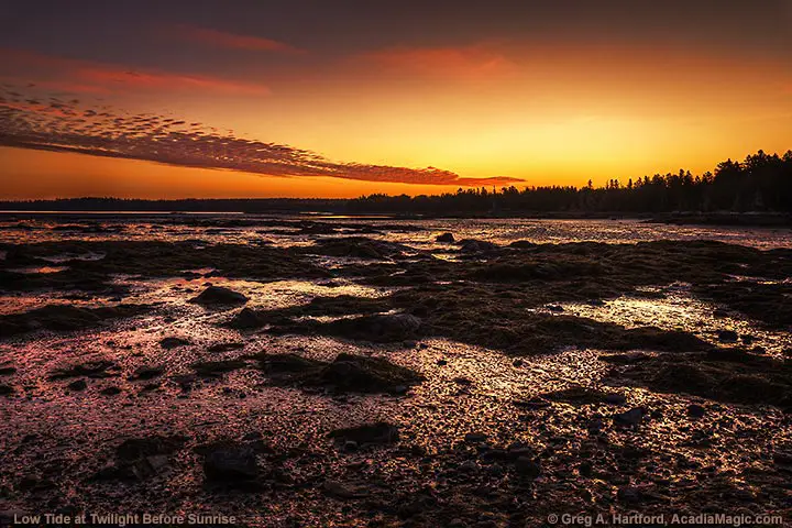 Twilight on shore of Thompson Island
