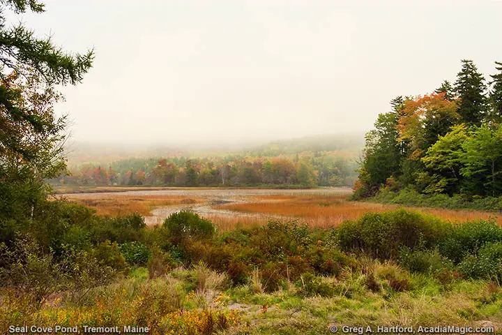 Seal Cove Pond on Mount Desert Island