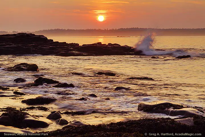 Seawall in Acadia National Park