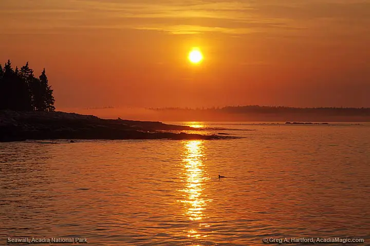 Sunrise with fog at Seawall