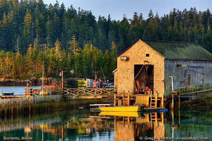 A lobster operation in Sorrento, Maine