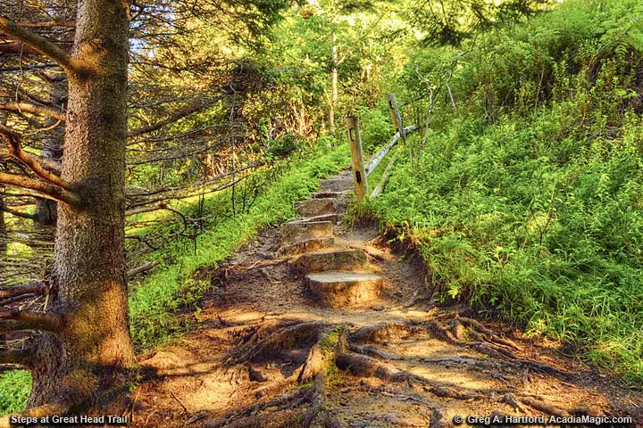 Steps leading up to Great Head Trail