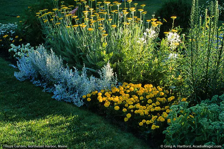 A bed of beautiful flowers in Thuya Garden, Maine