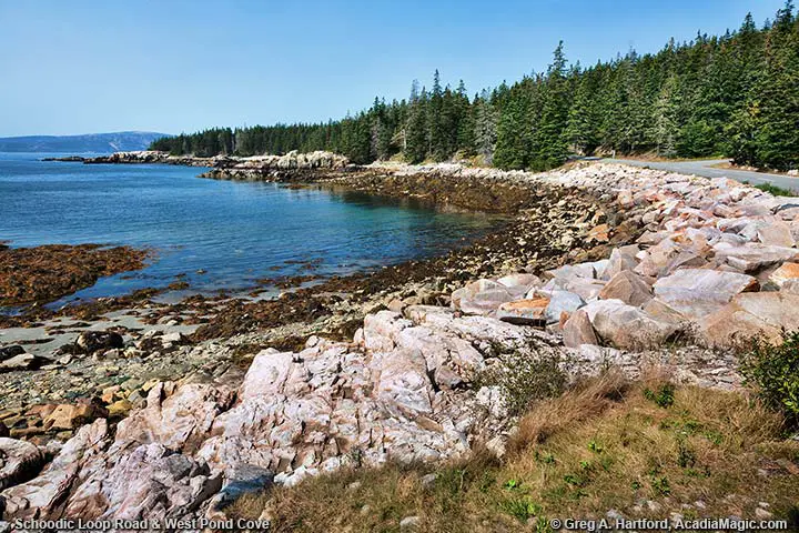 West Pond Cove next to Schoodic Loop Road
