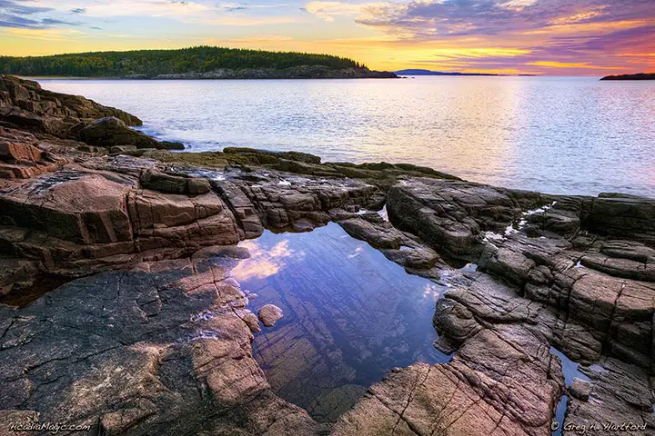 Tidal pool in Acadia National Park, Maine