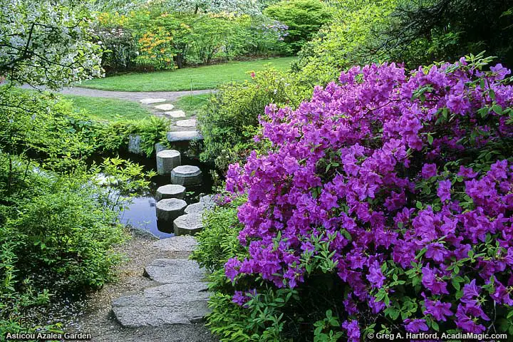 The walking path proceeds across little stream