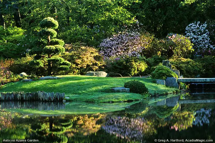 Morning view of the garden