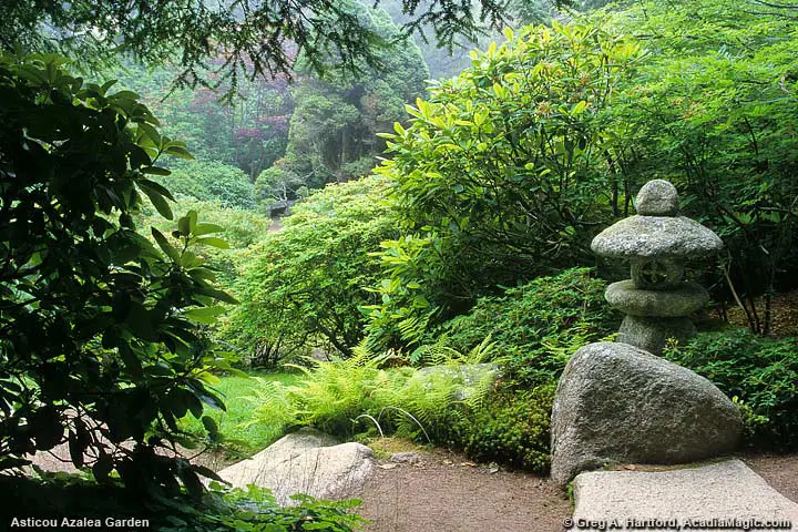 One of the stone sculptures in the garden