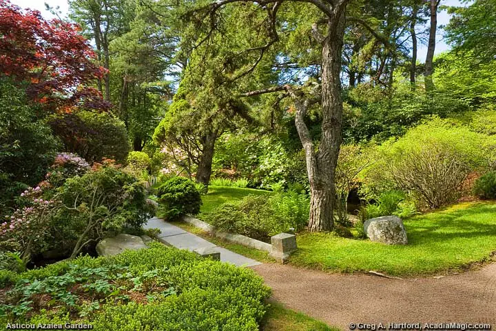 A place at the northeast corner of the garden