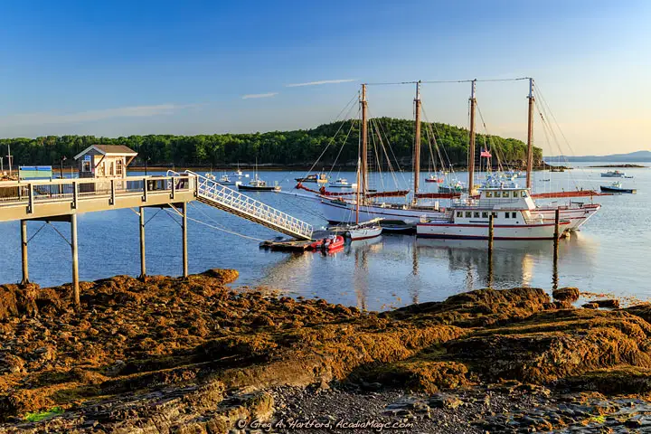 A view from the Shore Path showing Margaret Todd schooner and Bar Island
