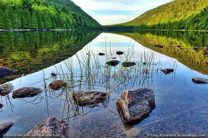 Bubble Pond in Acadia looking south
