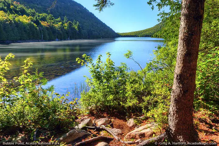Bubble Pond seen from Hiking Trail on east side of the pond