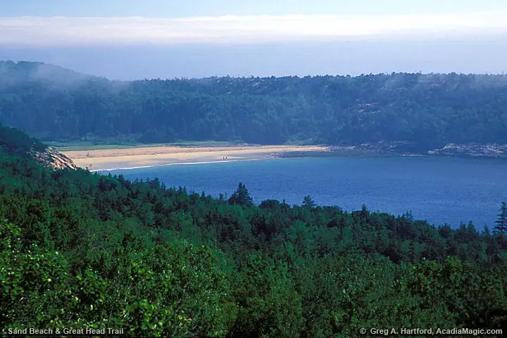 View of Great Head on the right side of Sand Beach in Acadia