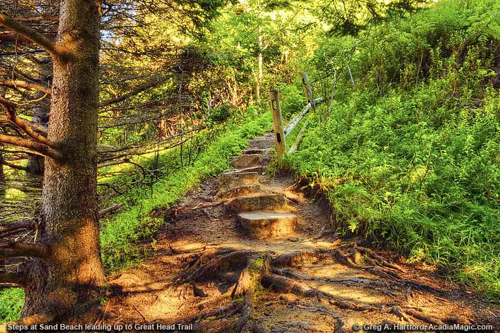 Steps next to Sand Beach that lead up to Great Head Hiking Trail