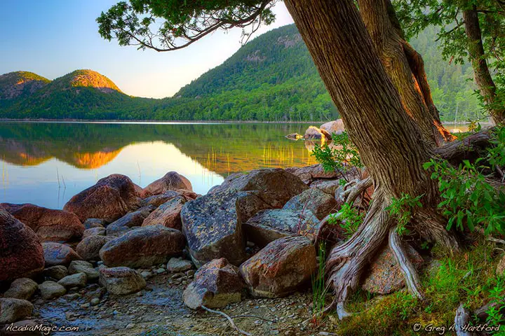 Shoreside at Jordan Pond in Acadia National Park