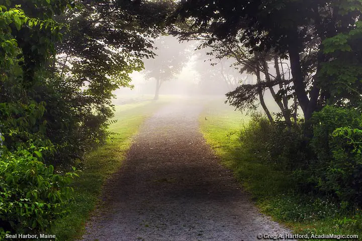 Misty road at morning