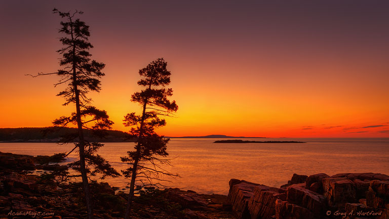 Acadia National Park Sunrise