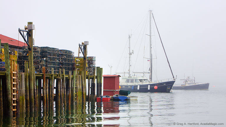Foggy morning in Bass Harbor, Maine