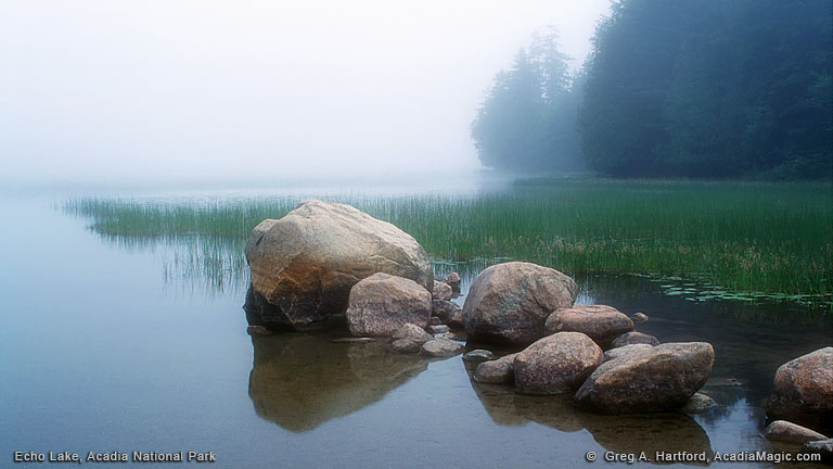 Echo Lake Beach boulders in morning fog