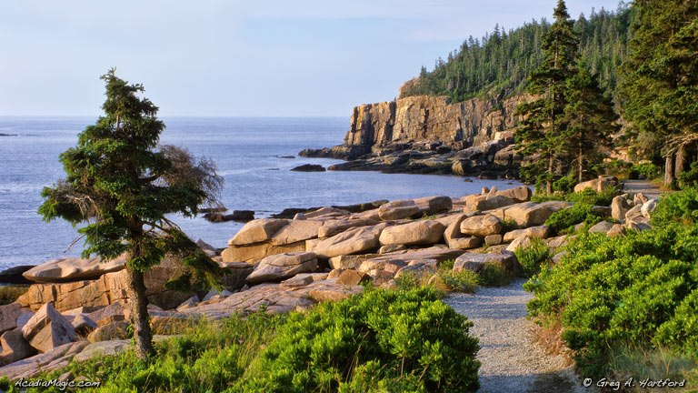 View of Otter Cliff