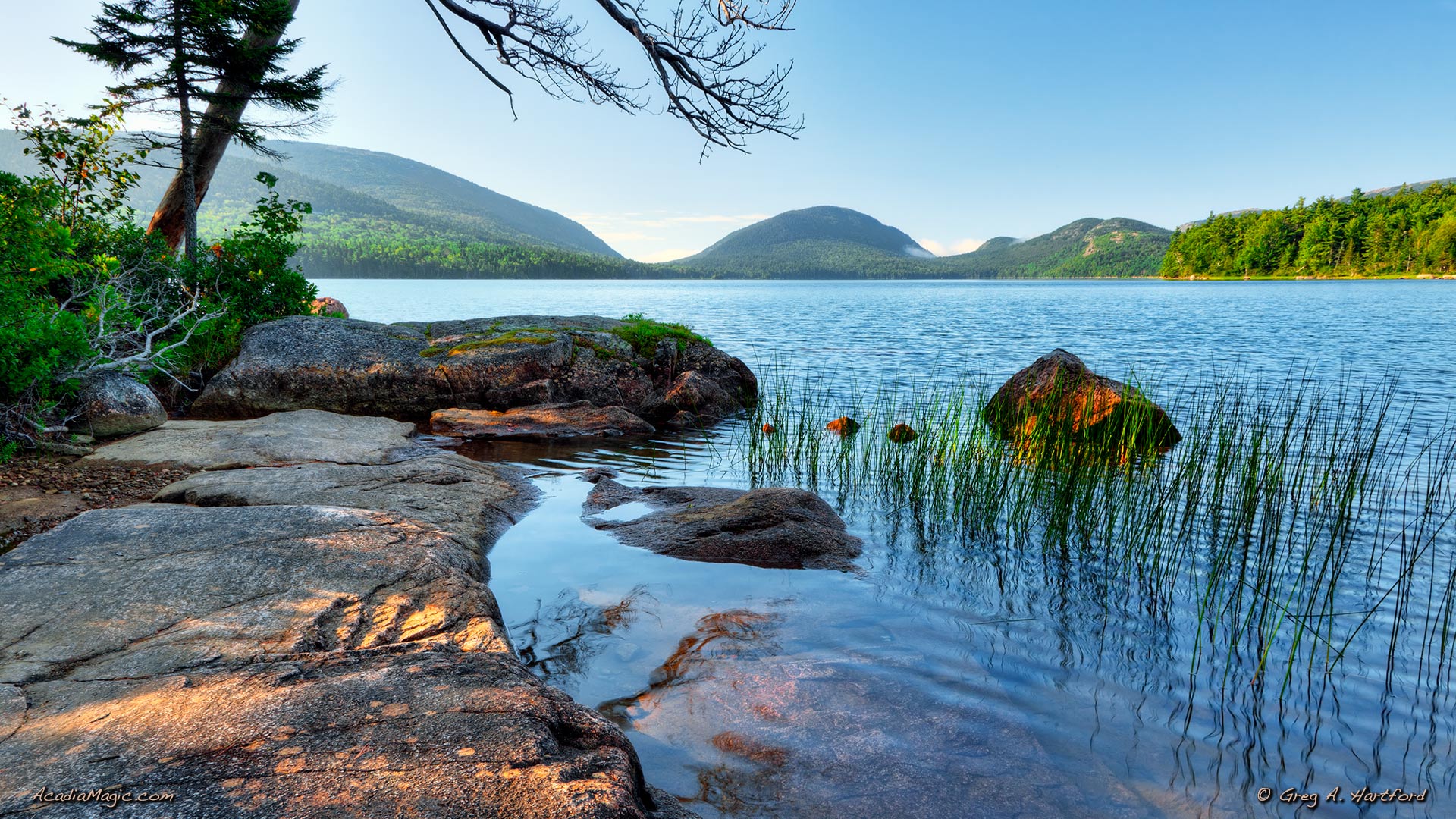 Autumn at Eagle Lake in Bar Harbor